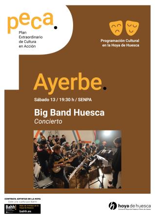 Imagen Concierto de la "Big ban" programa PECA