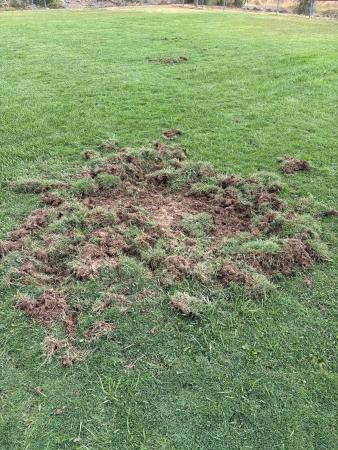 Imagen Prohibición de jugar en el campo de fútbol