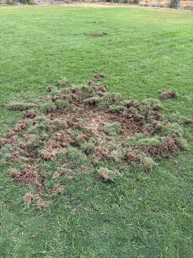 Imagen Prohibición de jugar en el campo de fútbol
