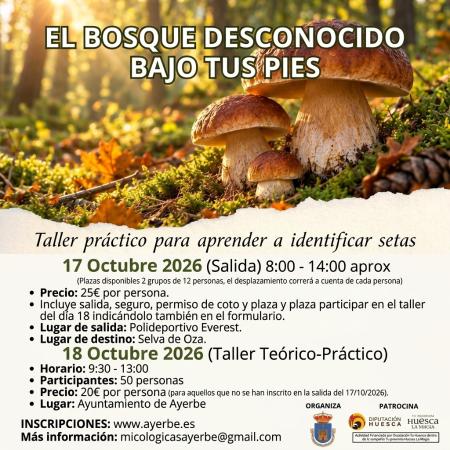 Imagen Taller de iniciación a la Micológia 2026
