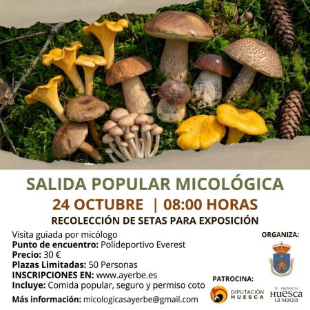 Imagen Salida popular a recoger setas con destino a la exposición