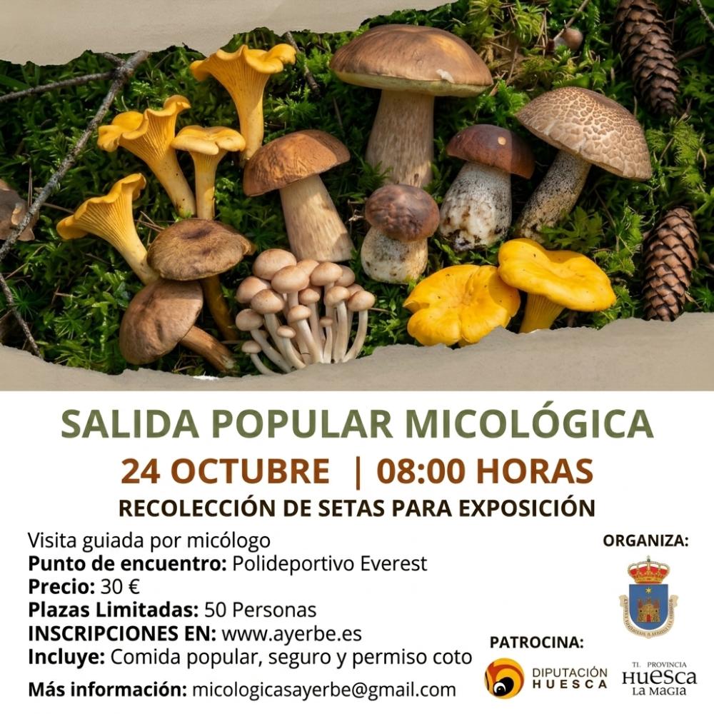 Imagen Salida popular a recoger setas con destino a la exposición