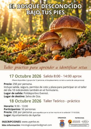 Imagen Taller de iniciación a la micología